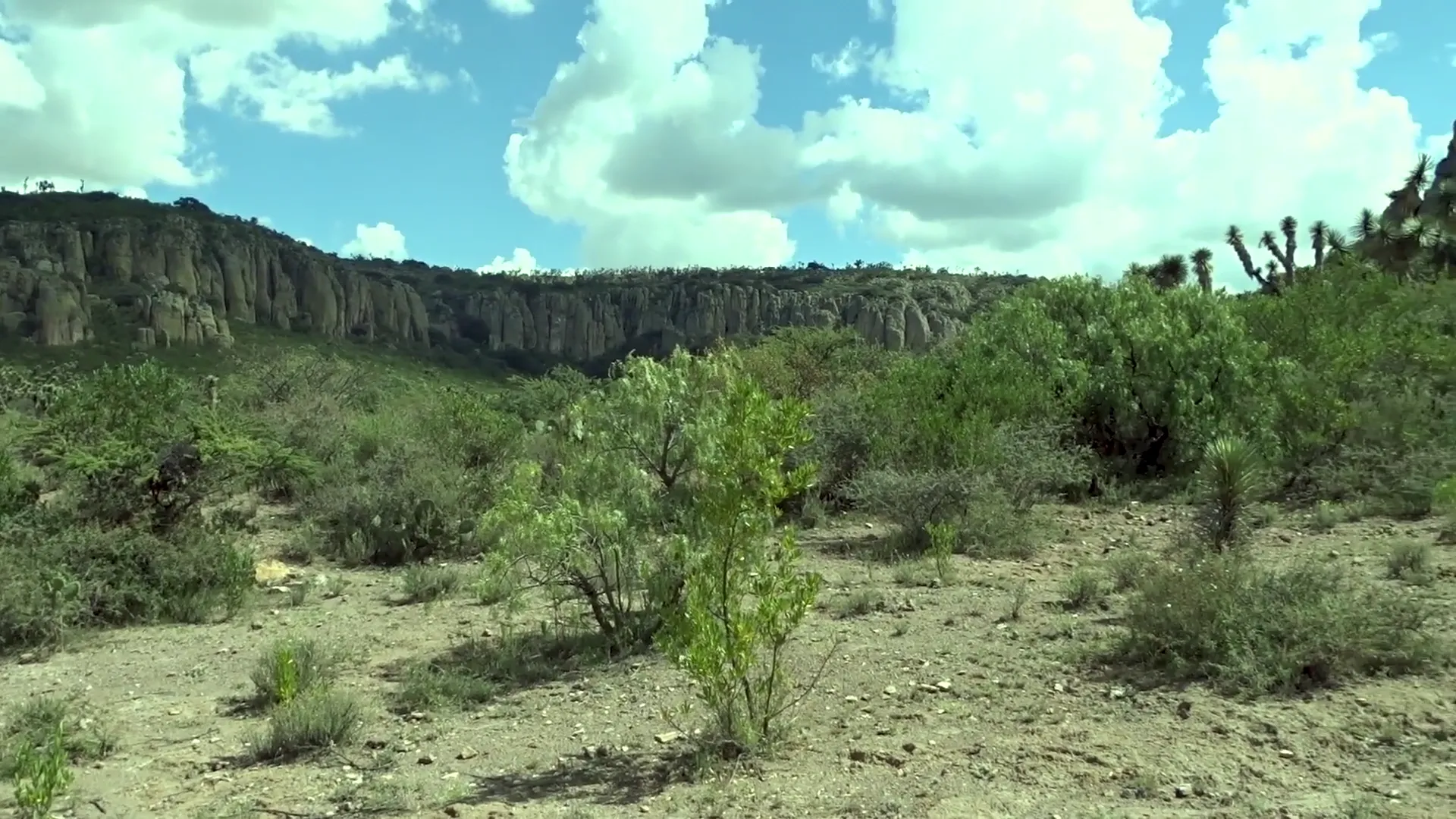 El Llano Desconocido